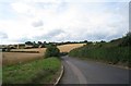 Country lane by Bury Court