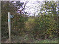 TM2772 : Footpath to the B1116 Laxfield Road by Geographer