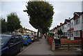 Trees on Mitcham Rd