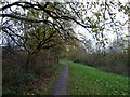 Footpath in Bramhall Green