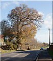 Durley Brook Road approaching village hall