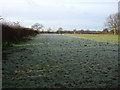 Farmland off Stockton Road