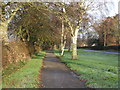 Cycle path beside Stockton Road