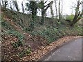 Former quarry near Paceycombe Farm