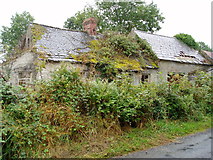 S3445 : Derelict cottage at Mohober by ethics girl