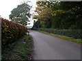 Road leading out of Woodsford