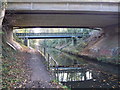 Grand Union Canal, Solihull