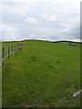 Up the bridleway onto Cefn Yr Hen-dir