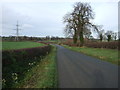 Allerton Wath Road towards Northallerton