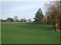 Grazing land, Highfields