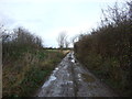 Track heading north towards Crosby Court Grange