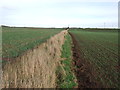 Field boundary off Sandy Bank