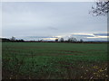 Farmland, Thornton le Moor