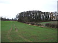 Farmland, Wathstones