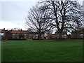 Village Green, Maunby