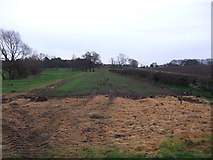 SE3883 : Farmland off the A167 by JThomas