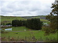 Fishing pool above Dyffryn Dyfi campsite