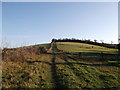 The Vanguard Way towards Greenhill Shaw