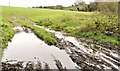 Muddy field near Lisburn