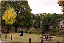 SO7293 : Picnic Area in Severn Park by Steve Daniels