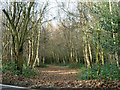 Path, Sevenoaks Common