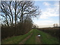 The bridleway from Saxby to Newton by Toft