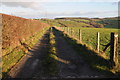 Track to Great Trelanden