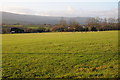 View to the Black Mountains