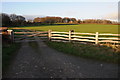 Gate and track near The Vicarage