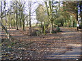 Footpath to the B1118 & entrance to Foal