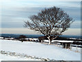 Crake Scar Farm