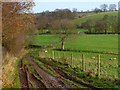 Track and pasture, Easby