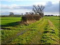 Track and farmland, Newton Morrell