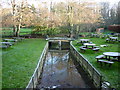 The beer garden at the Mill Inn