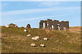 NX5293 : Ruined building at Woodhead Lead Mine by Trevor Littlewood
