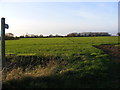 Footpath to Mill Mounts