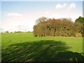 Cultivated field north of The Butts, Debenham