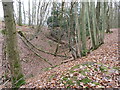 Dry stream bed near Okewood church