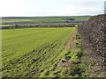 Farmland west of Burton Fleming Grange