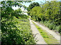 Cleatham track in summer