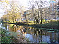 Basingstoke Canal, Woking