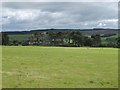 Pastures and woodland west of White Hall (2)