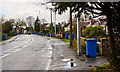 Wheelie bins on parade in Pepper Lane