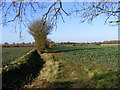 Footpath to Verdons Lane