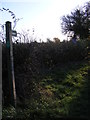 Footpath to Cake Street