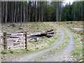 Woodland track, Berryhill