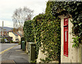 Edward VII letter box, Holywood (1)