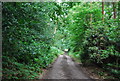 Sussex Border Path