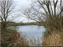TL1962 : Weedy Lake, Paxton Pits Nature Reserve by PAUL FARMER