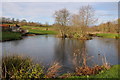 Pool at Trelleck Grange